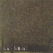 Gustav Klimt The Park (mk20) oil painting on canvas
